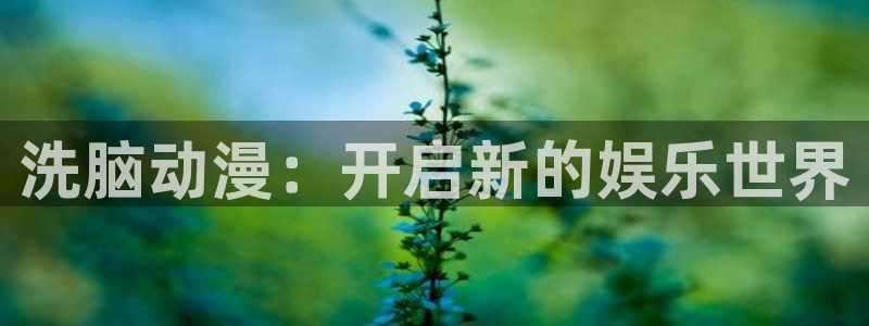 风车动漫旧版本：洗脑动漫：开启新的娱乐世界