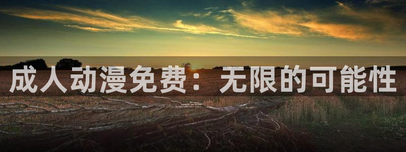 风车动漫怎么免费看：成人动漫免费：无限的可能性