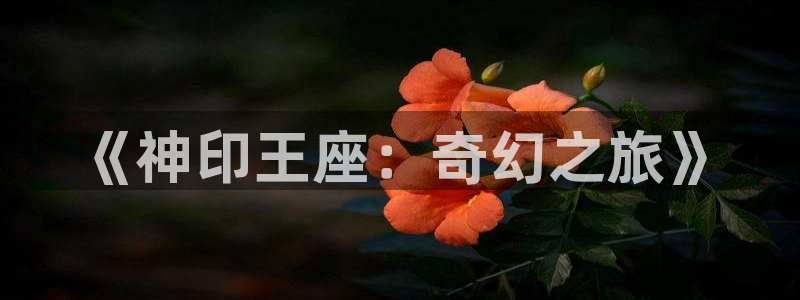 风车动漫僧侣：《神印王座：奇幻之旅》